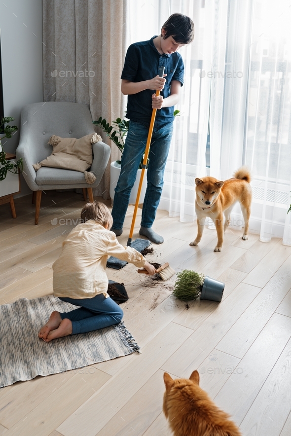 Two brothers cleaning up the mess that their domestic guilty dog or cat made. Pet Damage concept
