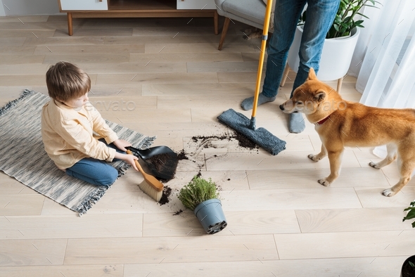 Two brothers cleaning up the mess that their domestic dog or cat made. Pet Damage concept