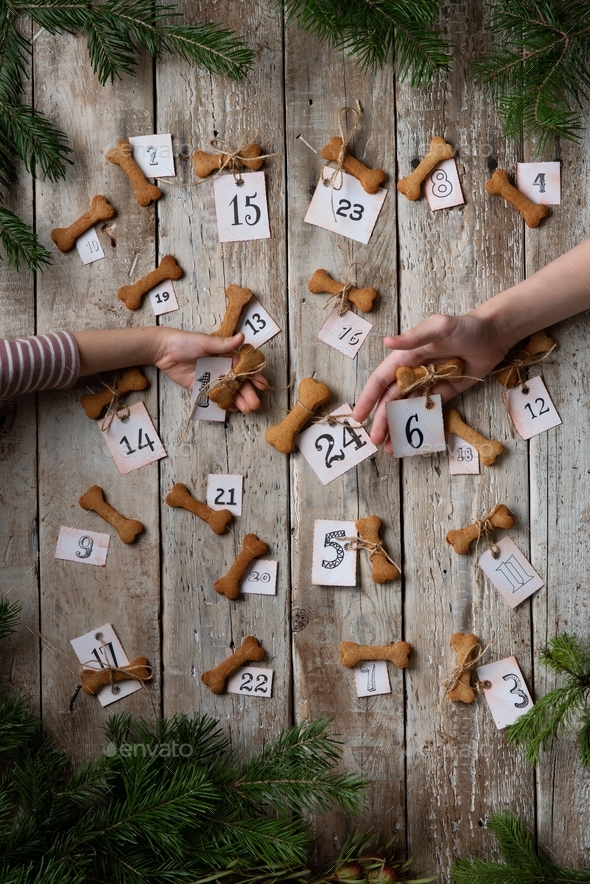 Cute kids are arranging bone shaped cookies for an advent calendar for