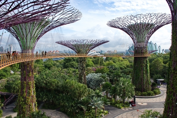 Walkway at The Supertree Grove at Gardens by the Bay in Singapore near ...