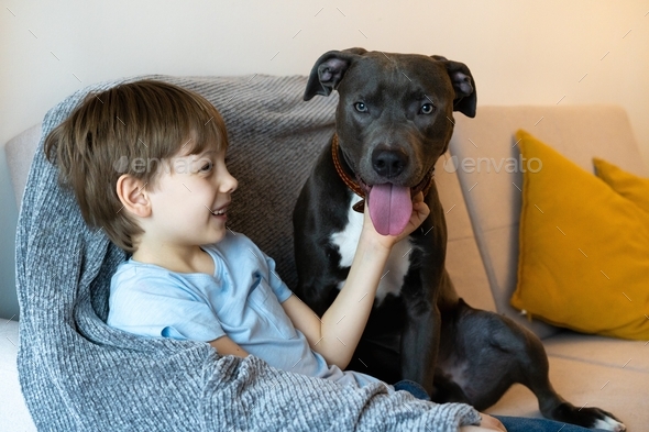 Little boy with big dog, love and taking care of pets Stock Photo by ...