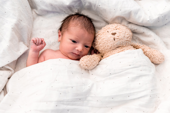 Newborn baby goes to sleep with his teddy bear - Stock Photo - Images