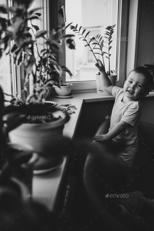 a little boy shows his mother to the flowers on the windowsill Stock