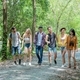 friends are walking in sunny spring woods, talking and laughing, all are excited and anxious, jungle - PhotoDune Item for Sale