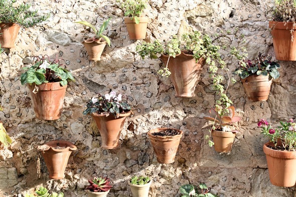 Rustic terracotta plant pots hanging on a wall - Stock Photo - Images