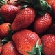 Strawberry - PhotoDune Item for Sale