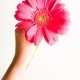 Holding flower - PhotoDune Item for Sale