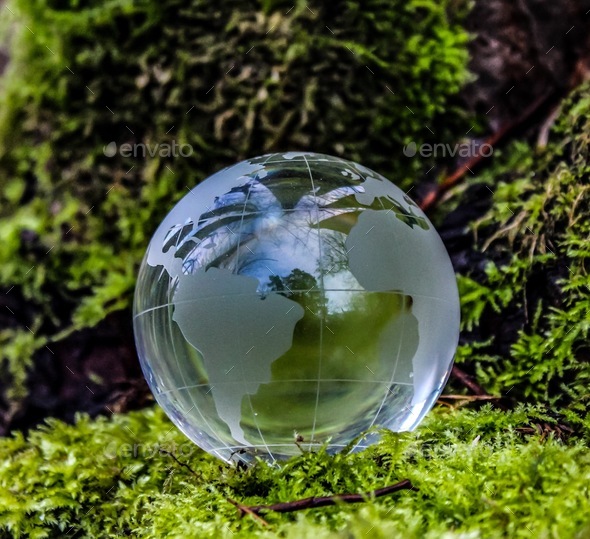 Fragile Earth - Stock Photo - Images