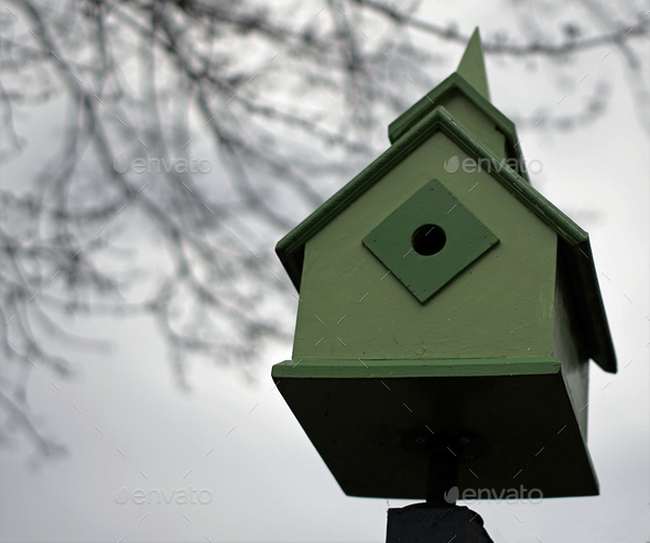Elaborately designed green birdhouse  - Stock Photo - Images