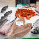 Fine choice of fresh fish and seafood - PhotoDune Item for Sale