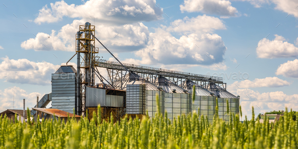 agro silos granary elevator on agro-processing manufacturing plant ...