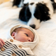 Newborn baby and watching dog behind - PhotoDune Item for Sale