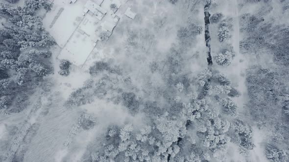 Winter Landscape of a Russian Village in the Forest