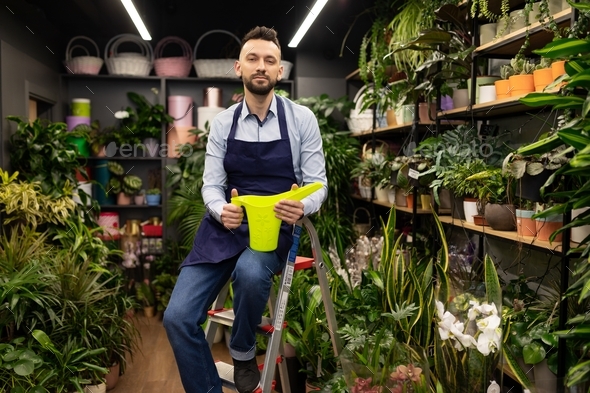 maintenance and care specialist for potted plants in the office and at home