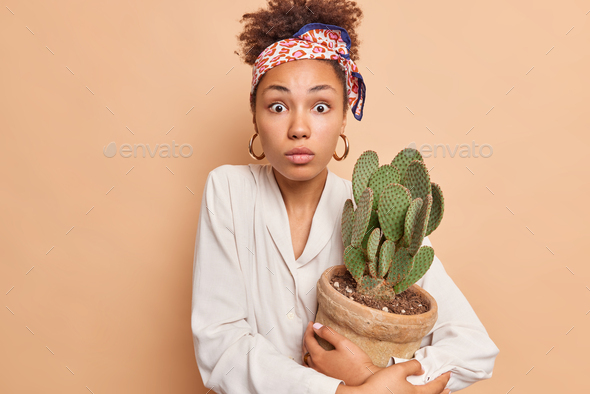 Surprised young dark skinned female model fond of gardening takes care of home plant holds potted ca