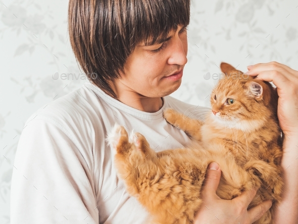 Man cuddles his cute ginger cat. Fluffy pet looks pleased and sleepy. Fuzzy domestic animal.
