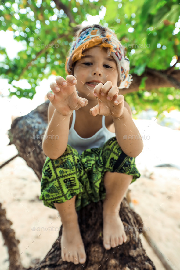Small boy on the tree - Stock Photo - Images