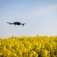 Drone Flying Over a Field Collecting Crop Data - PhotoDune Item for Sale