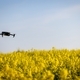 Drones Carrying Out a Field Survey of Oilseed Crops - PhotoDune Item for Sale