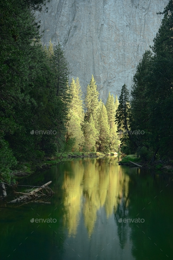 Reflections of trees in a river - Stock Photo - Images
