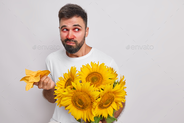 Discontent bearded adult man holds bouquet of sunflowers napkin for runny nose suffers from allergy