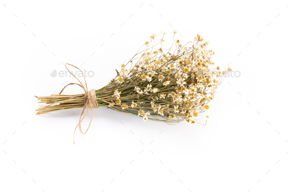 Composition with chamomile flowers and homemade cosmetic, essential oil, sopa - Stock Photo - Images