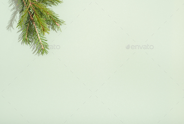 fir branches border on white background, good for christmas backdrop - Stock Photo - Images