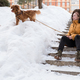 Woman walking with toller dog in city in winter day - PhotoDune Item for Sale