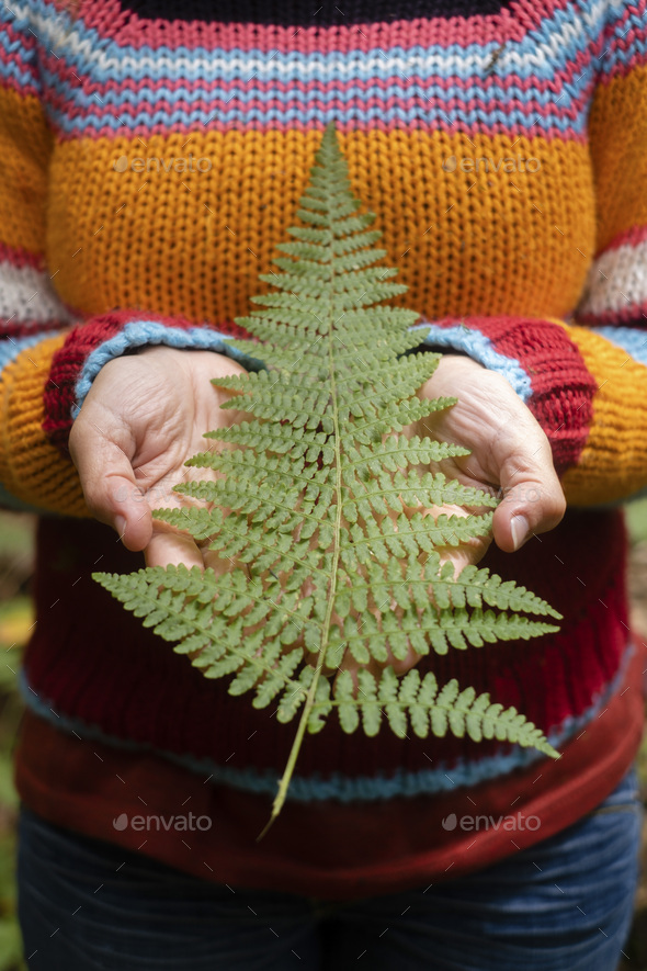 Woman holding a big nature tropical leaf with hands and colorful wool pullover in background. Nature