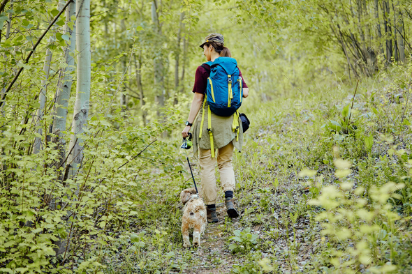 Back view of female backpacker with dog hiking through the forest ...