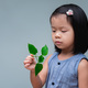 Child girl looking at small treetop in her hand. Sapling of tree is in hand of kid seed living plant - PhotoDune Item for Sale