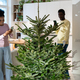 Afro woman take photo of fresh christmas tree to share in social media or blog together with husband - PhotoDune Item for Sale