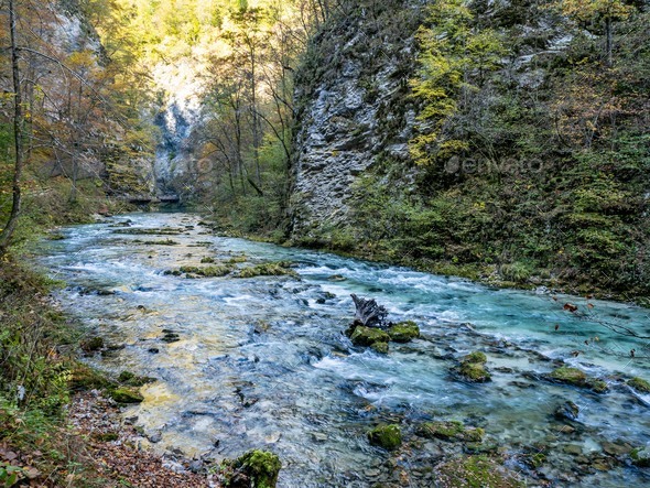 Radovna river in  Vintgar gorge, Slovenia - Stock Photo - Images