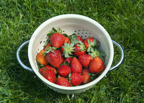 Fresh organic strawberries - Stock Photo - Images