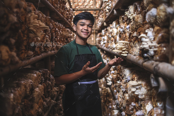 Young successful oyster mushroom farmer