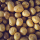 Fresh Organic Whole Potato. Farmers Market - PhotoDune Item for Sale