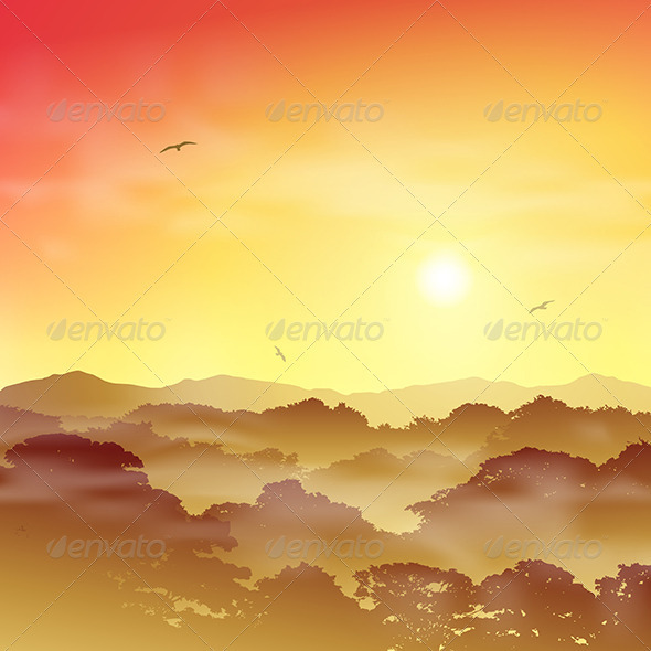Forest Landscape - Landscapes Nature