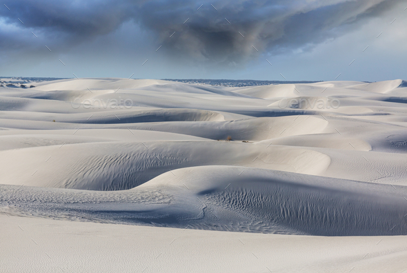 White sand dunes - Stock Photo - Images
