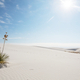 White sand dunes - PhotoDune Item for Sale