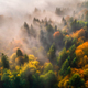 Aerial view of beautiful colorful autumn forest in low clouds - PhotoDune Item for Sale