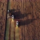 Top View of Grain Harvesters in a Wheat Field - VideoHive Item for Sale