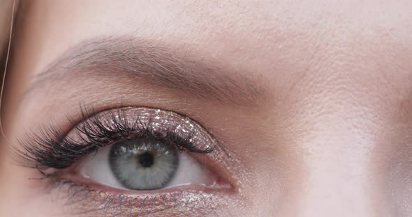 Woman's Eye in Close-up. Greyish Green Female Eye Blinking at Camera