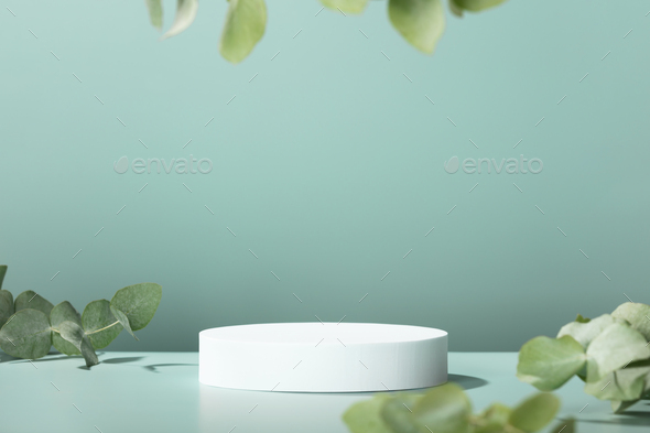 Abstract empty white podium with eucalyptus leaves on blue background - Stock Photo - Images