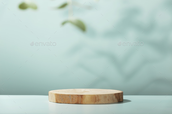 Wood slice podium with eucalyptus leaves on blue background for cosmetic product mockup - Stock Photo - Images
