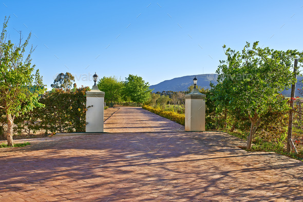Entrance to a wine farm in Paarl Stock Photo by YuriArcursPeopleimages