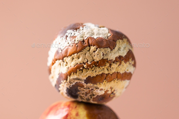 Close-up apple with mold and fresh apple on beige background - mold growth and food spoilage concept - Stock Photo - Images