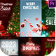 Christmas Posts and Stories - VideoHive Item for Sale