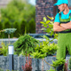 Professional Landscaper Proudly Standing in the Garden - PhotoDune Item for Sale