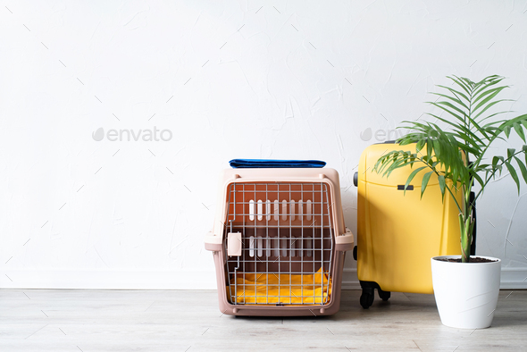 pet corner plastic pet carrier or pet cage with yellow travel case on the floor at home, pet corner