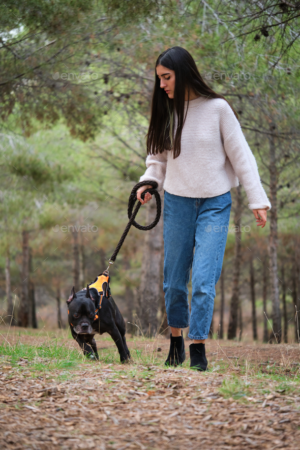 Young caucasian woman training to stop her dog from leash pulling. - Stock Photo - Images